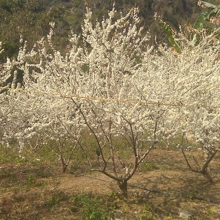 Trieu Chuong Homestay Cao Bang Ngoại thất bức ảnh